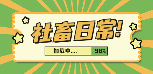 贵州人才招聘网