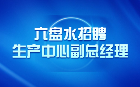 六盘水招聘生产中心副总经理