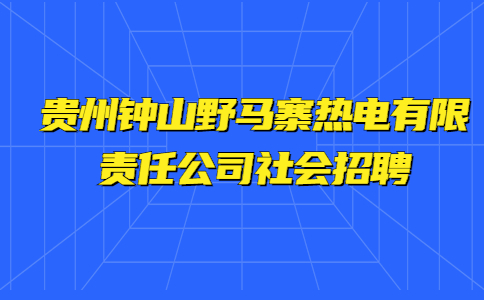 贵州钟山野马寨热电有限责任公司社会招聘