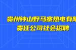 2022贵州钟山野马寨热电有限责任公司社会招聘