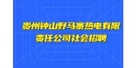 2022贵州钟山野马寨热电有限责任公司社会招聘