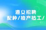 遵义招聘配种/接产技工/双胞胎集团