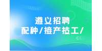 遵义招聘配种/接产技工/双胞胎集团