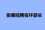 安顺招聘安环部长-贵州新仁新能源科技有限公司